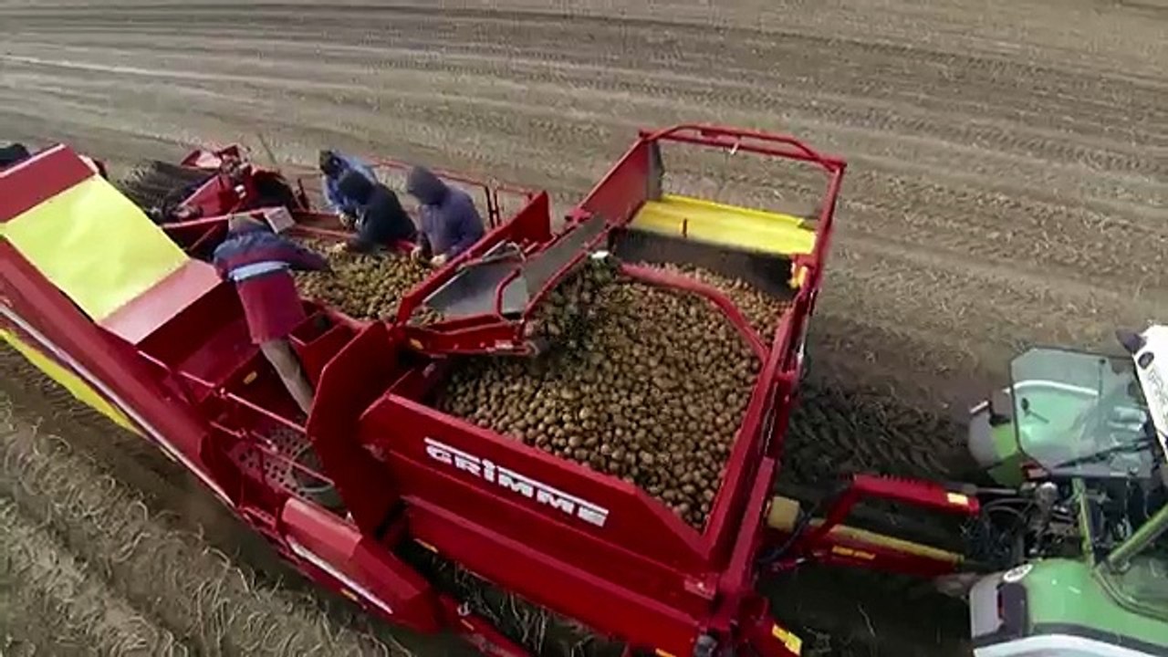 potato harvesting technology