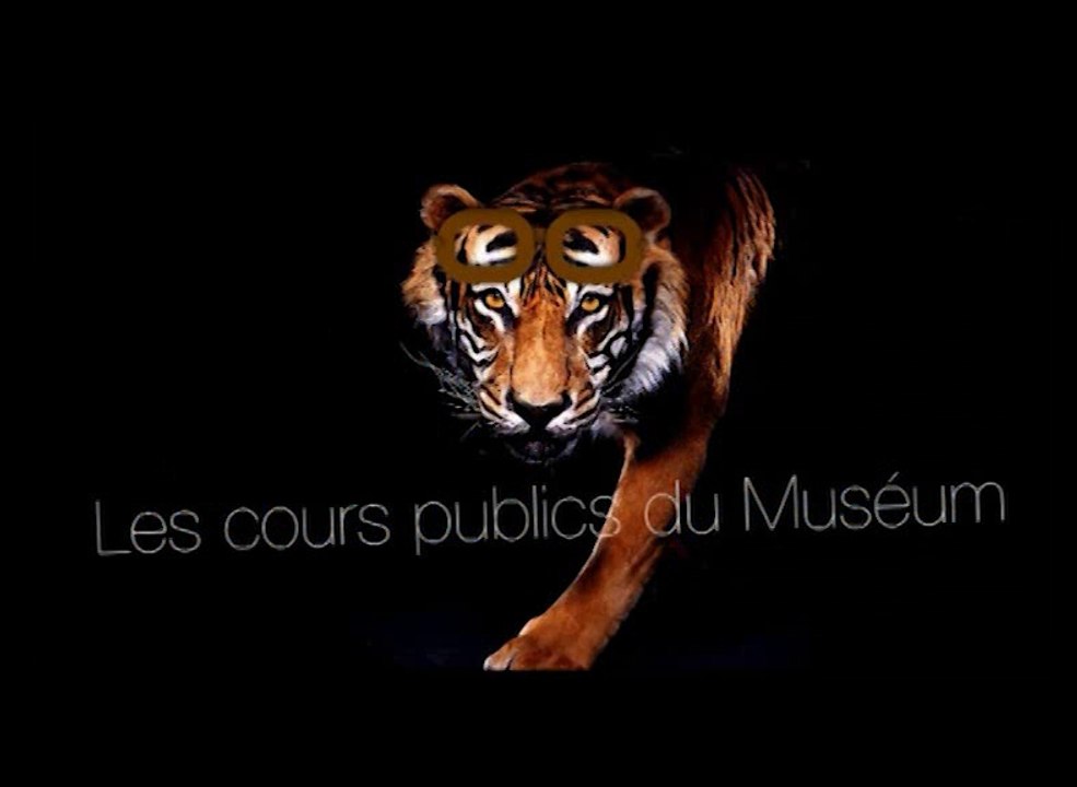 Le monde, le jardin, le cabinet (cycle Histoire de la botanique et des collections 2/3)