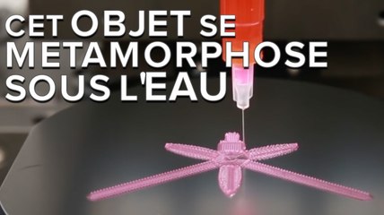Cet objet imprimé en 4D change de forme une fois immergé