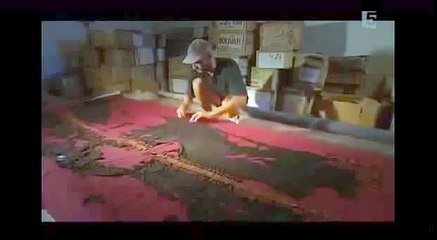 Décrypter les géoglyphes de Nazca