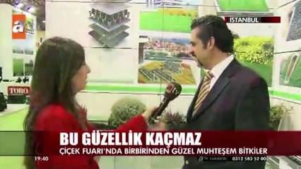 ATV NETYAPI 28.11.2013