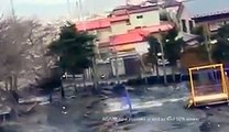 During Japan Tsunami a strange creature was caught on camera - real footage