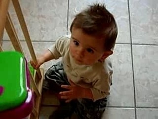 les progrès de noé