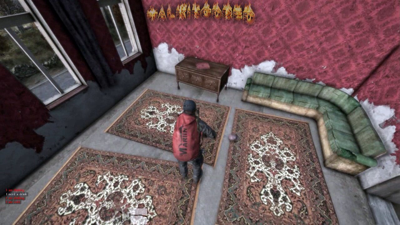Dayz Gameplay