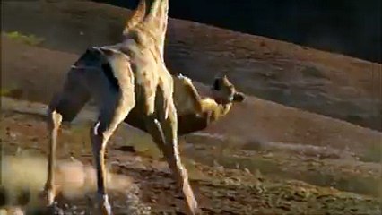 Bhoat he Zaberdast video hy kia bat hy