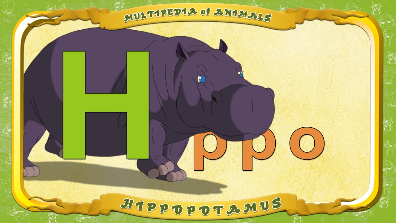 Multipedia of Animals. Letter H - Hippo