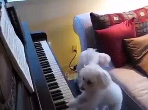 kia bat hy es video ki very good video