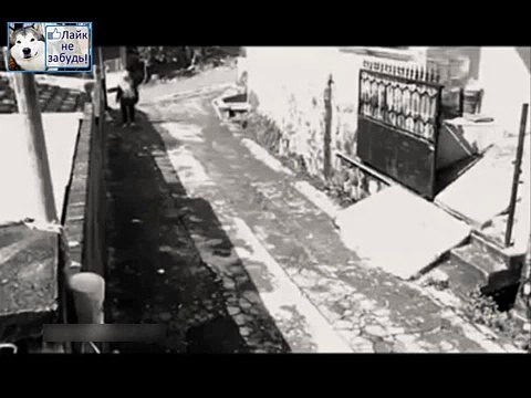 Жертва которая не растерялась и тупой грабитель