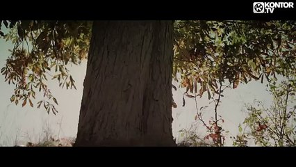 Amfree - The Sweetest Symphony