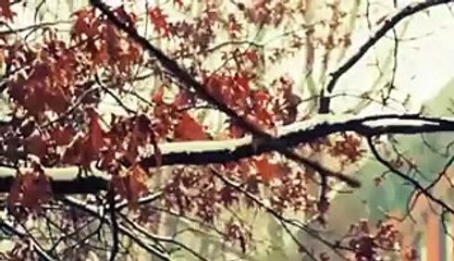 Molana tariq jameel bayan best bayan ever