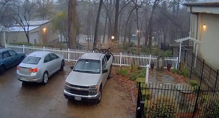 La foudre touche un arbre à côté d'un parking
