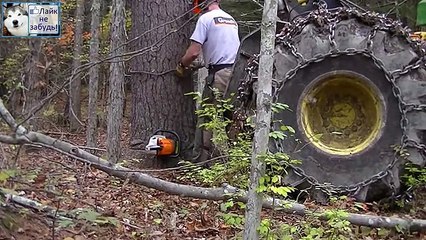 ТОЛКАЕМ ДЕРЕВЬЯ КУДА НАМ НАДО ТРАКТОРОМ