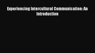 [PDF Download] Experiencing Intercultural Communication: An Introduction [Read] Full Ebook