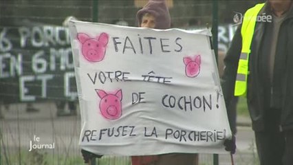 Poiroux : un collectif dit non à l'usine à cochons