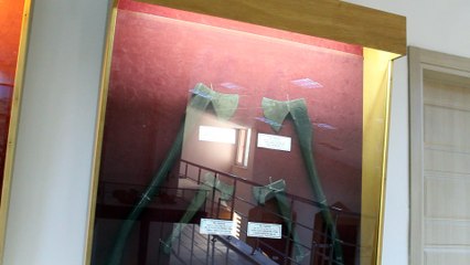 DMULPINAR MÜZESİ 2 GÖRÜNÜMÜ HABİB AKALIN