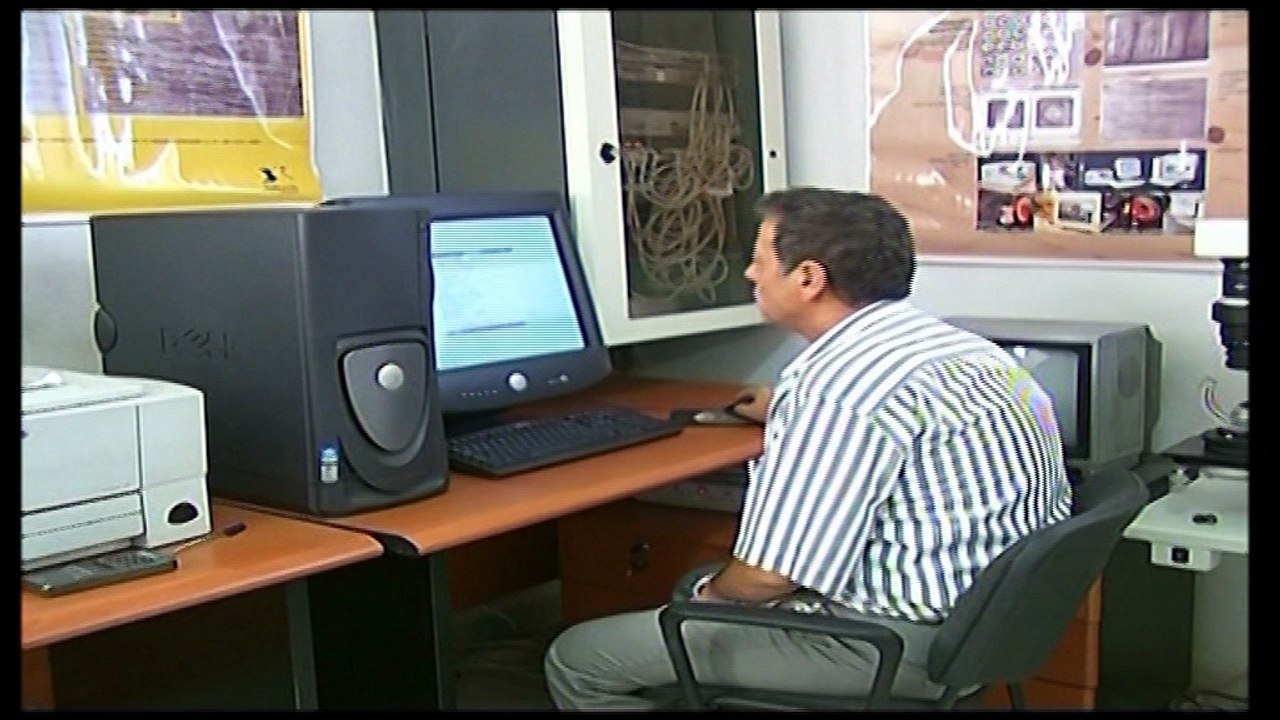 Studio Zapping