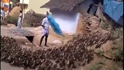 Böylesi Hiç Görülmedi! Yok Böyle Bir Şey
