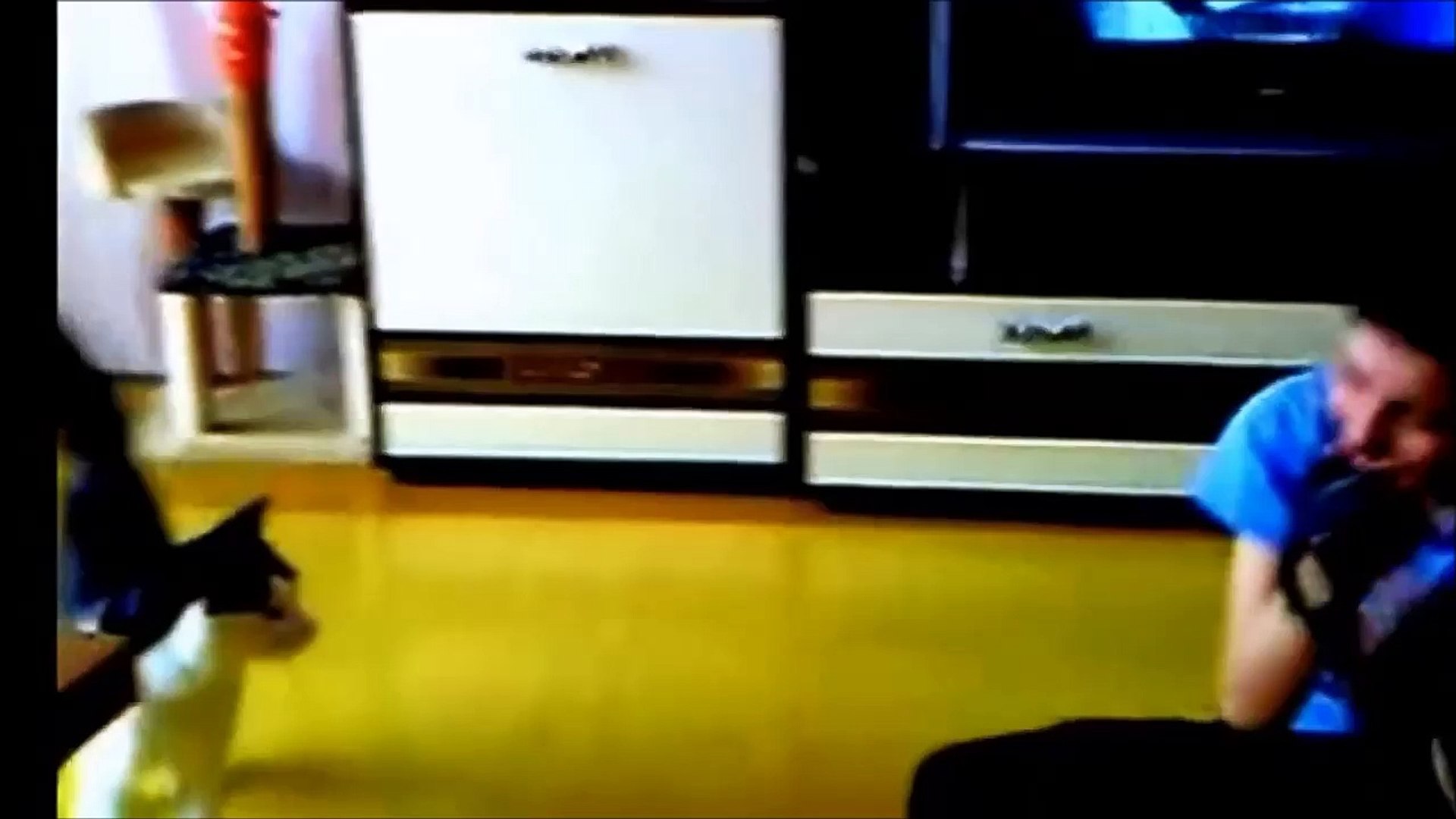 ⁣приколы и животные