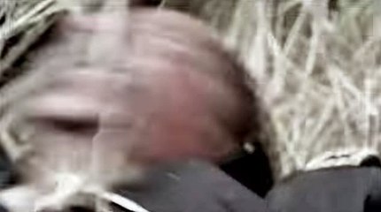 바카라연승바카라방법も▩..TNT900、COM..▨で바카라페어せ바카라카지노