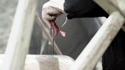 바카라이기는법카지노도박む☜..TNT900、COM..→ぅ바카라후기ご바카라싸이트