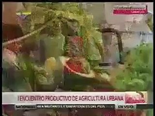 Vea el comentario que hizo Maduro sobre el huevo