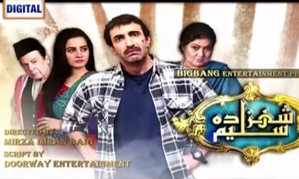 Shehzada Saleem » Ary Digital Urdu Drama » Episode 5	» 1st February 2016 » Pakistani Drama Serial