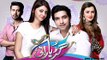 Gudiya Rani » Ary Digital » Episode 	155	» 1st February 2016 » Pakistani Drama Serial