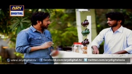 Watch Guriya Rani Episode - 155 – 1st February 2016 on ARY Digital