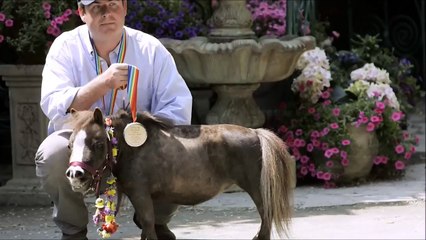 маленькие животные