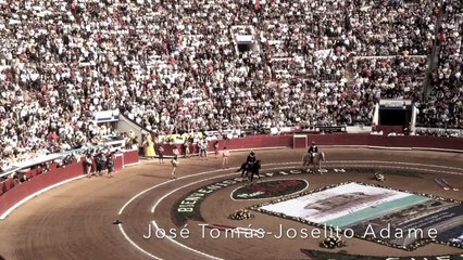 JOSE TOMAS-JOSELITO ADAME