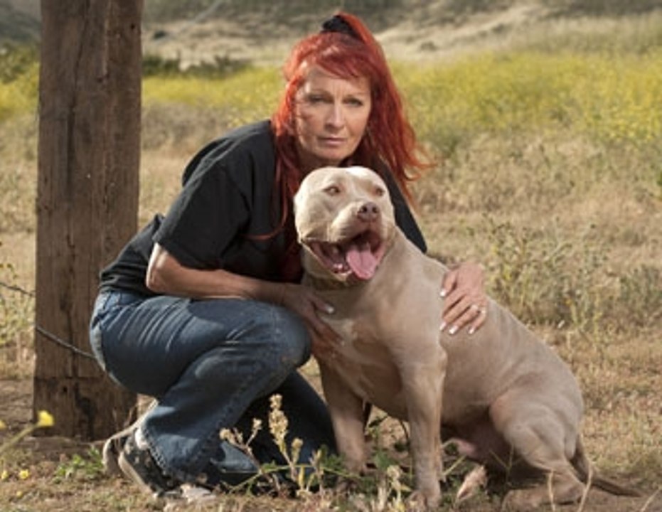 pitbulls et prisonniers - épisode 4 - en français