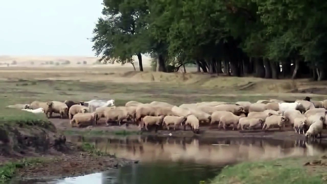 Horror movies - Horror movies 2015 Full Length English - Best Horror, Action, Drama, Sci-Fi Movies (FullHD Best Cinema Tvseries videos online free watch)