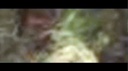 생활카지노℡KOP77,COM▣토토스포츠베팅＃양방배팅계산기