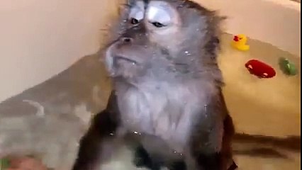 Havalara bakar mısınız...