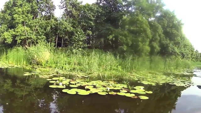 На катере по реке Воронеж