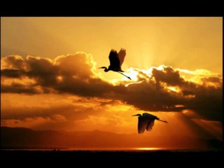 Rick Kuethe - Dance of the Cranes