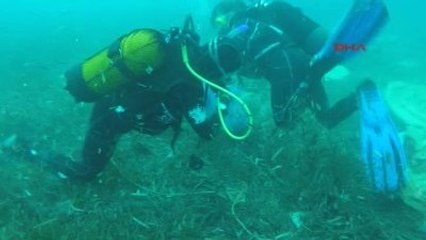 Bodrum - Eğitime Geldiler Deniz Dibi Temizliği Yaptılar