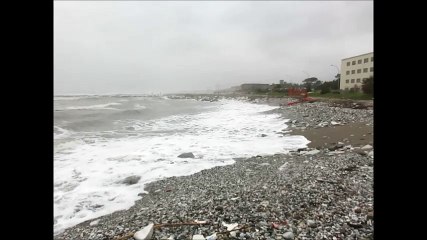 mare mosso giornata grigia