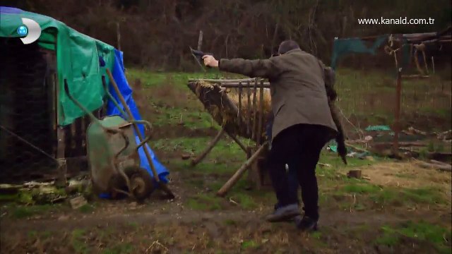 Arka Sokaklar 386. Bölüm - Rıza Baba ve Ali\'nin üzerine kurşunlar yağıyor!