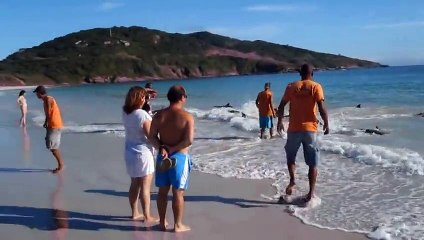 Он просто снимал море и пляж, как вдруг случилось нечто немыслимое