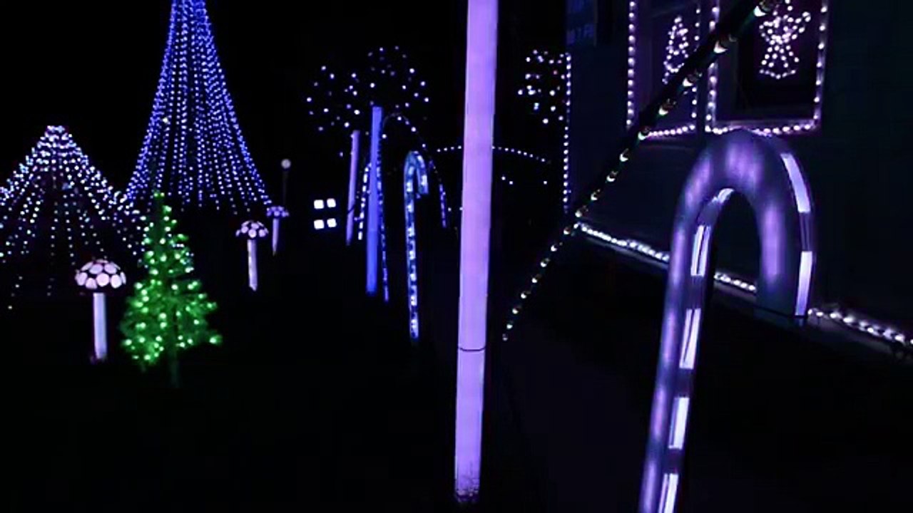 Fro Knows Photo - but does he know Christmas Lights?