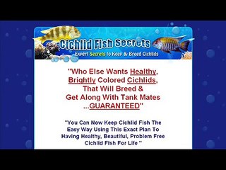Cichlid Fish Secrets