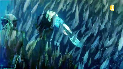 MODULE FIFO 2016 sur Polynésie 1ère n°07_Ocean