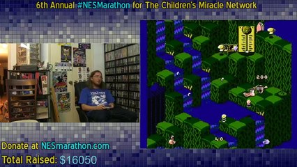 2015 NES Marathon Part 3 (21/36)