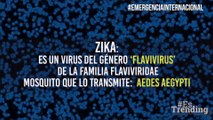 ¿Cuáles son las diferencias entre el Zika, Dengue y Chicungunya?