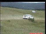 crash voiture de rallye