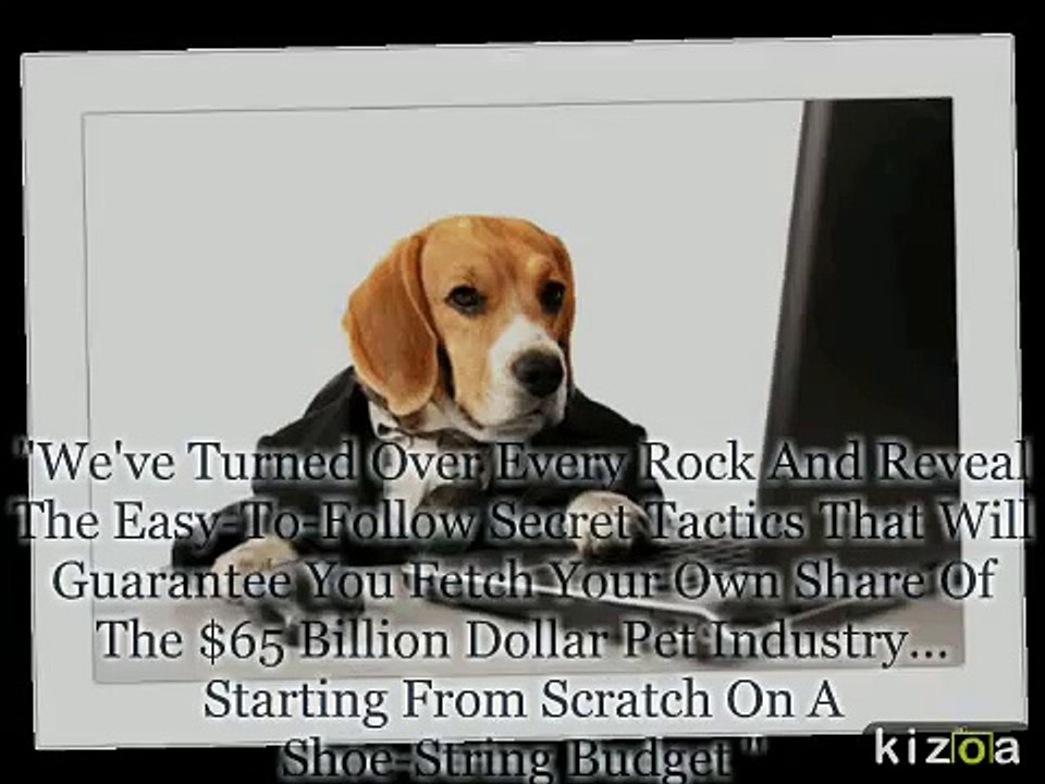 Bake a dog a bone | Learn the tips, tricks and secrets directly