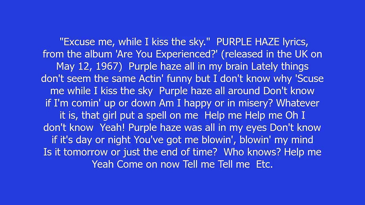 Excuse me, while I kiss the sky meaning and pronunciation
