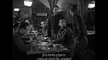 에이플러스카지노↗WKW22。COM♡피나클에이전시※로얄드림카지노랜드