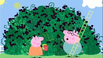 Peppa Pig Season 3 Episode 46 The Blackberry Bush